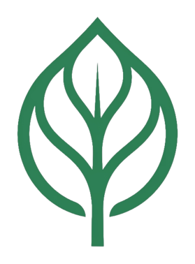 Ivy logo